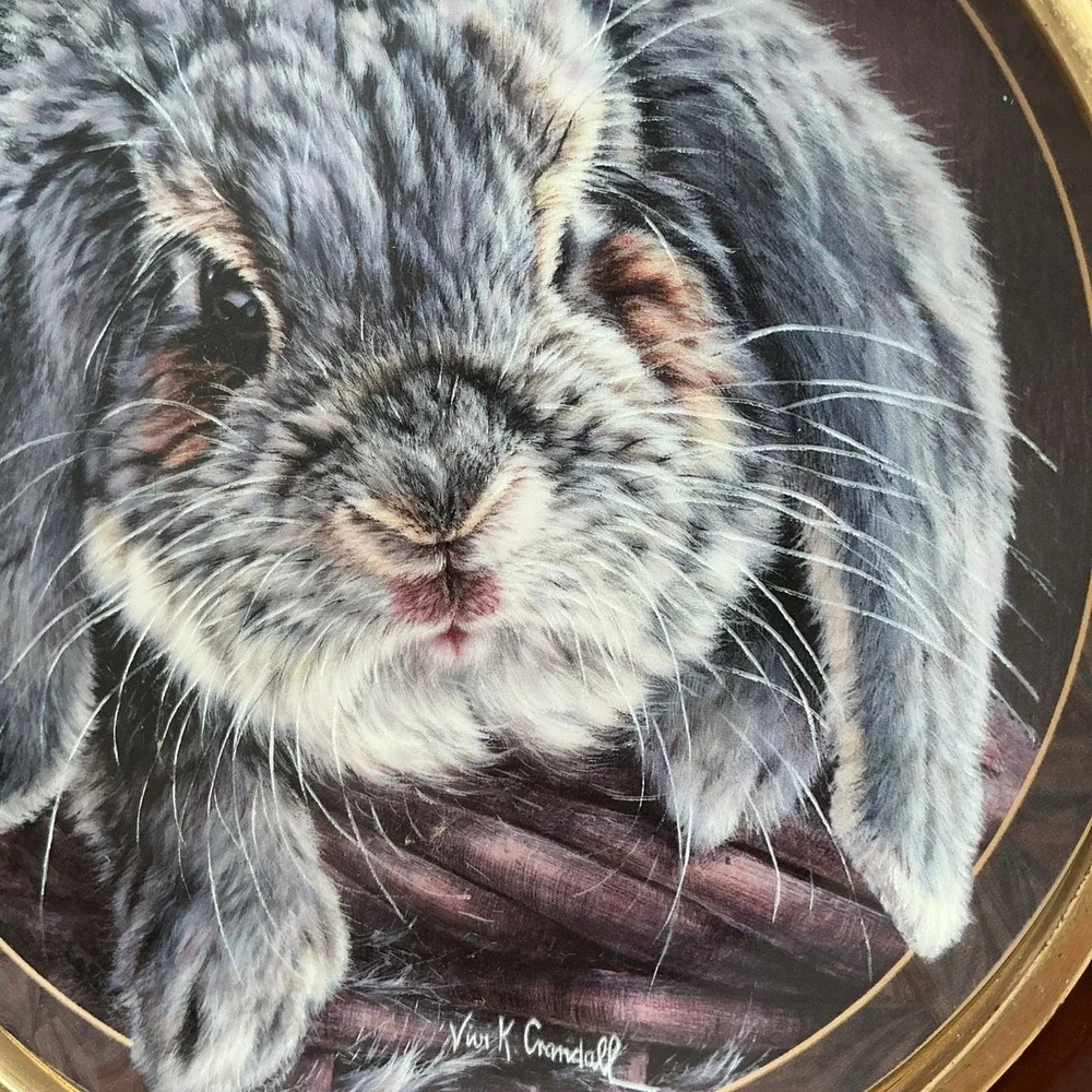 1998 Bradford‎ Exchange Vivi Crandall Bunny Tales FRAMED Plate 